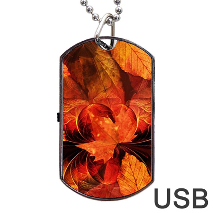 Ablaze With Beautiful Fractal Fall Colors Dog Tag USB Flash (Two Sides)