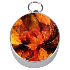 Ablaze With Beautiful Fractal Fall Colors Silver Compasses by jayaprime