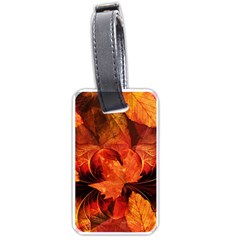 Ablaze With Beautiful Fractal Fall Colors Luggage Tags (one Side)  by jayaprime