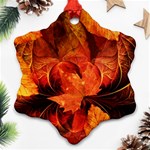 Ablaze With Beautiful Fractal Fall Colors Ornament (Snowflake) Front