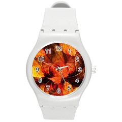 Ablaze With Beautiful Fractal Fall Colors Round Plastic Sport Watch (m) by jayaprime