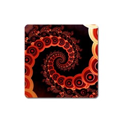 Chinese Lantern Festival For A Red Fractal Octopus Square Magnet by jayaprime