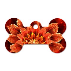 Beautiful Ruby Red Dahlia Fractal Lotus Flower Dog Tag Bone (two Sides) by jayaprime