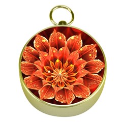 Beautiful Ruby Red Dahlia Fractal Lotus Flower Gold Compasses by jayaprime