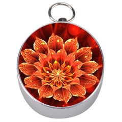 Beautiful Ruby Red Dahlia Fractal Lotus Flower Silver Compasses by jayaprime