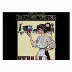 Good Housekeeping Large Glasses Cloth