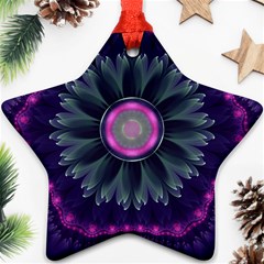 Beautiful Hot Pink And Gray Fractal Anemone Kisses Ornament (star) by jayaprime