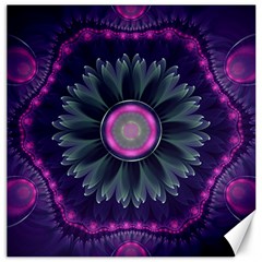 Beautiful Hot Pink And Gray Fractal Anemone Kisses Canvas 12  X 12   by jayaprime