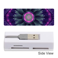 Beautiful Hot Pink And Gray Fractal Anemone Kisses Memory Card Reader (stick)  by jayaprime