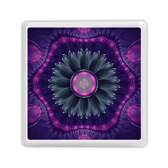 Beautiful Hot Pink And Gray Fractal Anemone Kisses Memory Card Reader (square)  by jayaprime