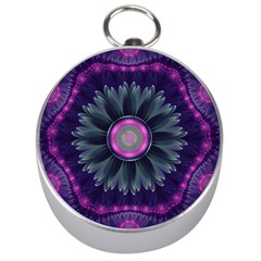 Beautiful Hot Pink And Gray Fractal Anemone Kisses Silver Compasses by jayaprime