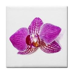 Lilac Phalaenopsis Aquarel  watercolor art painting Tile Coasters