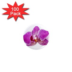 Lilac Phalaenopsis Aquarel  watercolor art painting 1  Mini Magnets (100 pack) 