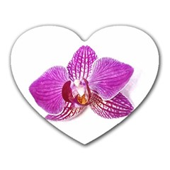 Lilac Phalaenopsis Aquarel  watercolor art painting Heart Mousepads