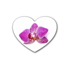 Lilac Phalaenopsis Aquarel  watercolor art painting Rubber Coaster (Heart) 