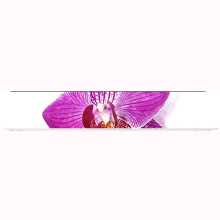 Lilac Phalaenopsis Aquarel  watercolor art painting Small Bar Mats