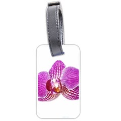 Lilac Phalaenopsis Aquarel  Watercolor Art Painting Luggage Tags (one Side) 