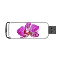 Lilac Phalaenopsis Aquarel  Watercolor Art Painting Portable Usb Flash (two Sides) by picsaspassion