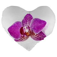 Lilac Phalaenopsis Aquarel  watercolor art painting Large 19  Premium Heart Shape Cushions