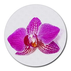 Lilac Phalaenopsis Flower, Floral Oil Painting Art Round Mousepads by picsaspassion