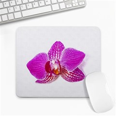 Lilac Phalaenopsis Flower, Floral Oil Painting Art Large Mousepads by picsaspassion