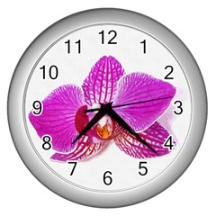 Lilac Phalaenopsis Flower, Floral Oil Painting Art Wall Clocks (silver)  by picsaspassion