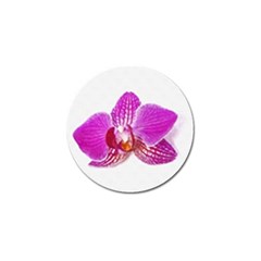 Lilac Phalaenopsis Flower, Floral Oil Painting Art Golf Ball Marker (10 Pack) by picsaspassion