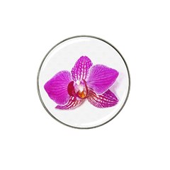 Lilac Phalaenopsis Flower, Floral Oil Painting Art Hat Clip Ball Marker (10 Pack) by picsaspassion