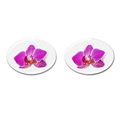 Lilac Phalaenopsis Flower, Floral Oil Painting Art Cufflinks (oval) by picsaspassion