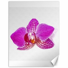 Lilac Phalaenopsis Flower, Floral Oil Painting Art Canvas 12  X 16   by picsaspassion