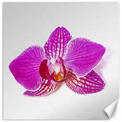 Lilac Phalaenopsis Flower, Floral Oil Painting Art Canvas 16  X 16   by picsaspassion