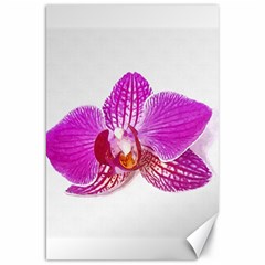 Lilac Phalaenopsis Flower, Floral Oil Painting Art Canvas 20  X 30   by picsaspassion