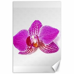 Lilac Phalaenopsis Flower, Floral Oil Painting Art Canvas 24  X 36  by picsaspassion