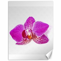 Lilac Phalaenopsis Flower, Floral Oil Painting Art Canvas 36  X 48   by picsaspassion