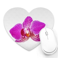 Lilac Phalaenopsis Flower, Floral Oil Painting Art Heart Mousepads by picsaspassion