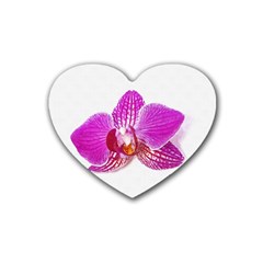 Lilac Phalaenopsis Flower, Floral Oil Painting Art Rubber Coaster (heart)  by picsaspassion