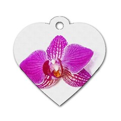 Lilac Phalaenopsis Flower, Floral Oil Painting Art Dog Tag Heart (one Side) by picsaspassion