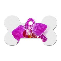 Lilac Phalaenopsis Flower, Floral Oil Painting Art Dog Tag Bone (one Side) by picsaspassion