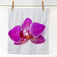 Lilac Phalaenopsis Flower, Floral Oil Painting Art Face Towel by picsaspassion