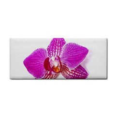 Lilac Phalaenopsis Flower, Floral Oil Painting Art Cosmetic Storage Cases by picsaspassion