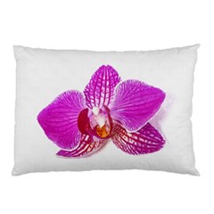 Lilac Phalaenopsis Flower, Floral Oil Painting Art Pillow Case by picsaspassion