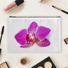 Lilac Phalaenopsis Flower, Floral Oil Painting Art Cosmetic Bag (large)  by picsaspassion