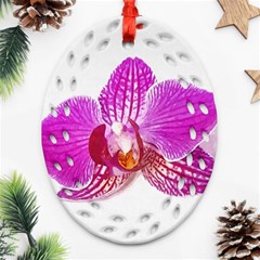 Lilac Phalaenopsis Flower, Floral Oil Painting Art Oval Filigree Ornament (two Sides) by picsaspassion