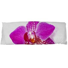 Lilac Phalaenopsis Flower, Floral Oil Painting Art Body Pillow Case Dakimakura (two Sides) by picsaspassion