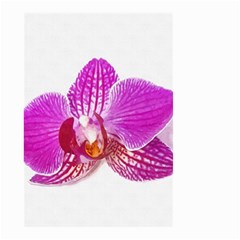 Lilac Phalaenopsis Flower, Floral Oil Painting Art Small Garden Flag (two Sides) by picsaspassion