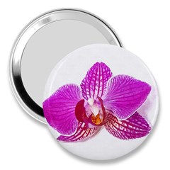 Lilac Phalaenopsis Flower, Floral Oil Painting Art 3  Handbag Mirrors by picsaspassion