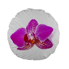 Lilac Phalaenopsis Flower, Floral Oil Painting Art Standard 15  Premium Flano Round Cushions by picsaspassion