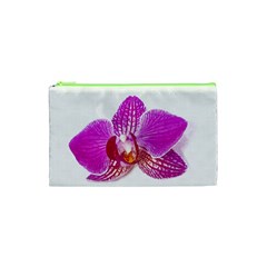 Lilac Phalaenopsis Flower, Floral Oil Painting Art Cosmetic Bag (xs) by picsaspassion