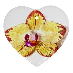 Yellow Phalaenopsis Flower, Floral Aquarel Watercolor Painting Art Ornament (heart) by picsaspassion