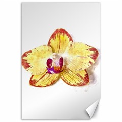 Yellow Phalaenopsis Flower, Floral Aquarel Watercolor Painting Art Canvas 24  X 36  by picsaspassion